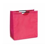 NON WOVEN FANCY BAG