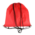 NON WOVEN BACKPACK WITH LONG HANDLE