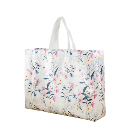 NON WOVEN FANCY BAG