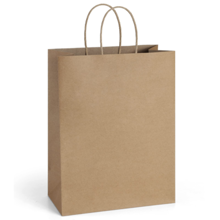 PAPER CANE HANDLED BAG