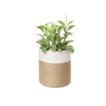 COTTON SMALL GROW BAG