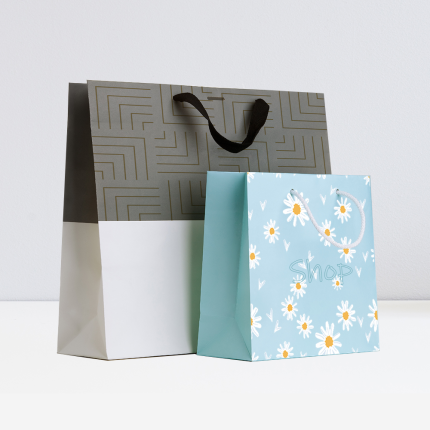 Kraft Paper Bags with Handles Gift Bags